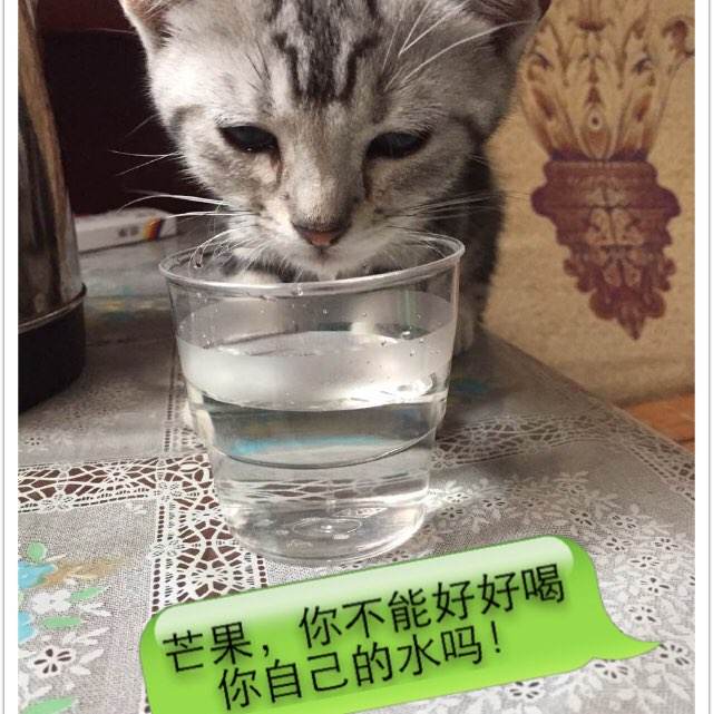 日本九州牙科大学学位证办理